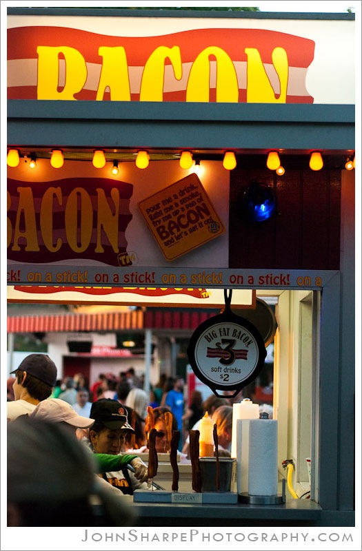 Minnesota State Fair Rochester MN Family and Portrait Photographer
